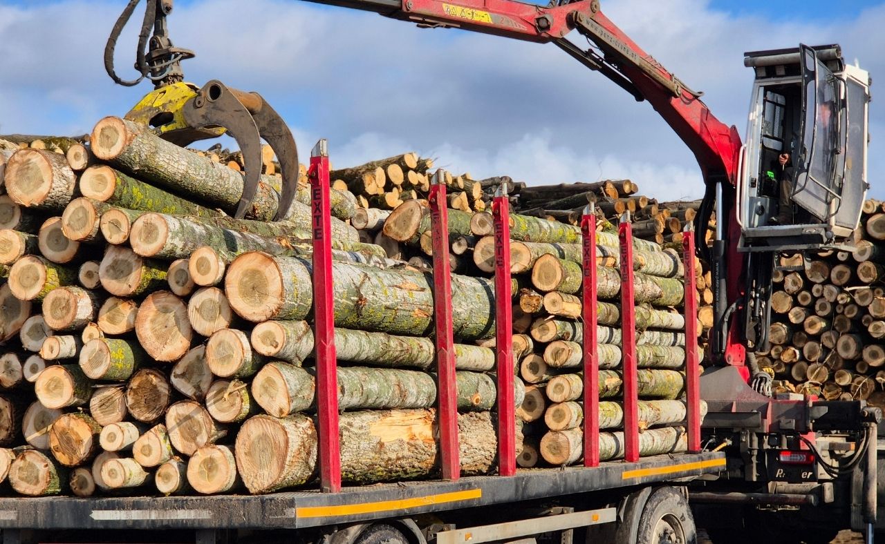 Industrial timber loading process for automated wood moisture measurement with Dunakontroll IMG system