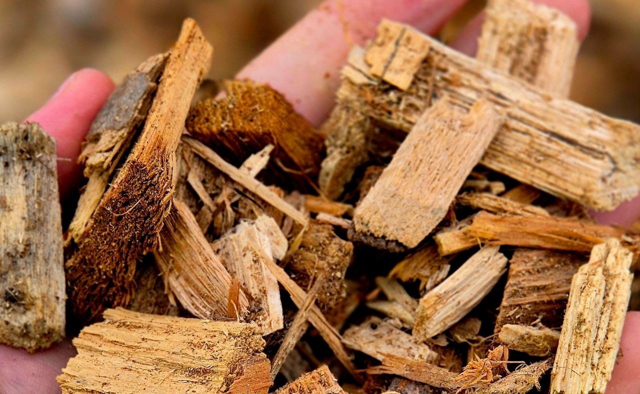 Wood chips and biomass material prepared for industrial moisture measurement and quality analysis